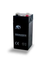 Batterie de rechange pour balance CAS PR-II